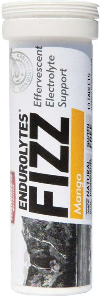 Hammer Nutrition Endurolytes Fizz Tube - 13 Servings