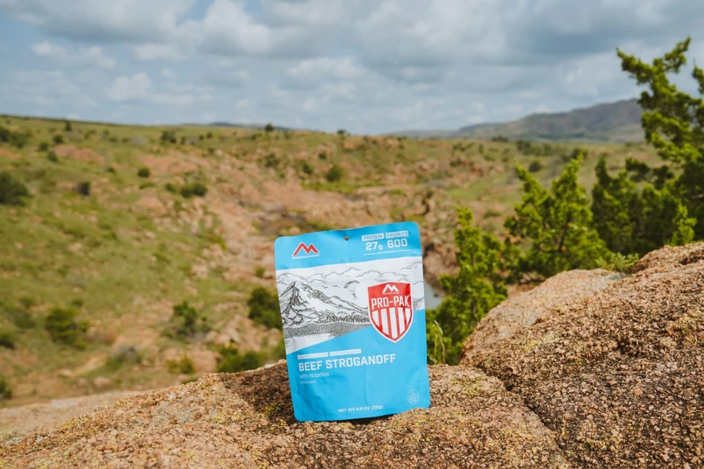 Mountain House Beef Stroganoff Pro-Pak - 1 Serving - None - Image 4