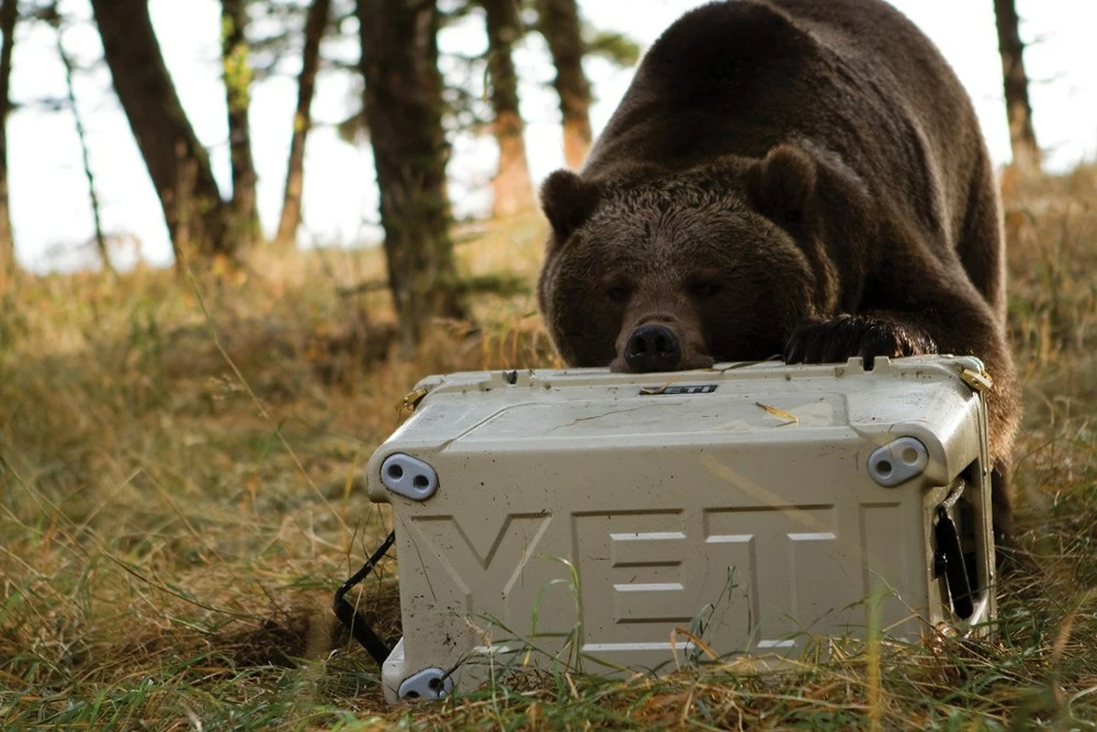 YETI Tundra 65 Cooler - Image 4
